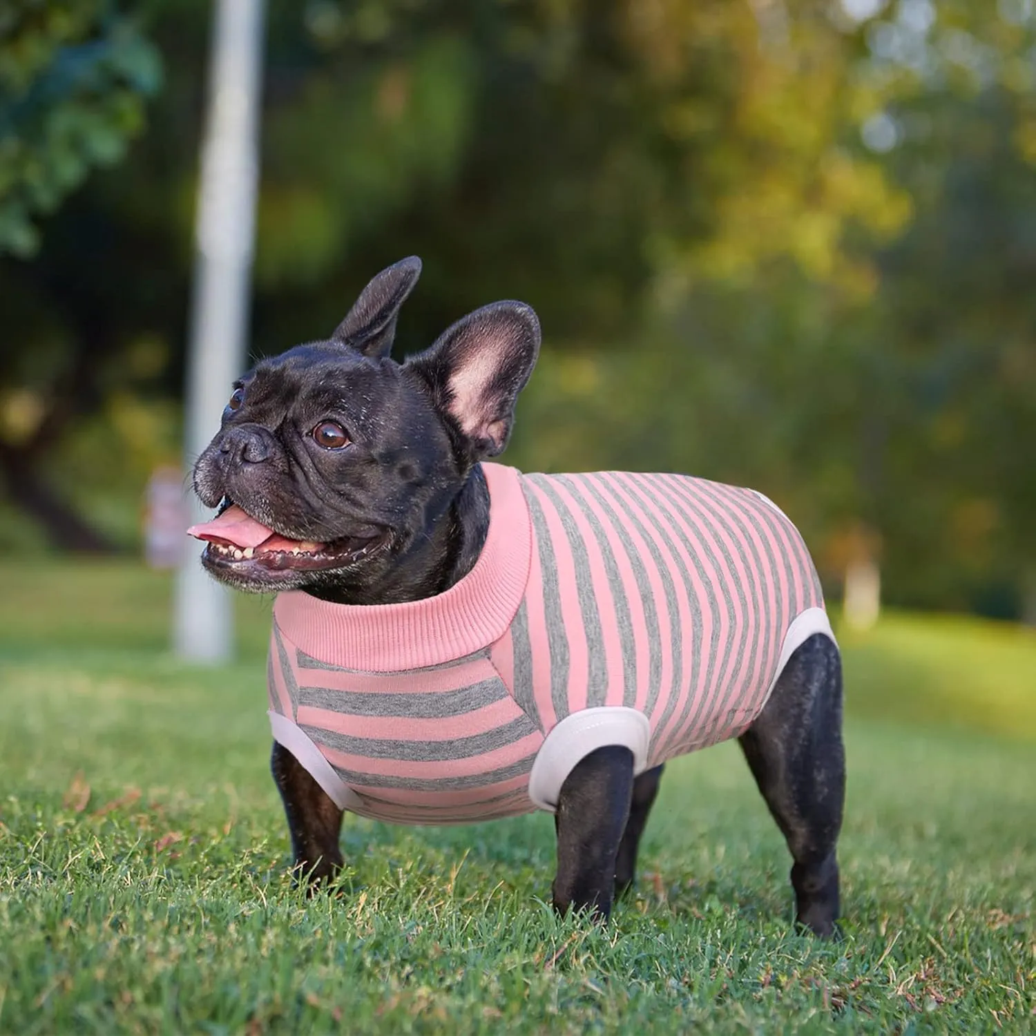 Dog Recovery Suit, Puppy Surgical Pajamas Bodysuit for Dogs Cats After Spay Neuter Surgery Abdominal Wound Bandages, Striped Onesie Pant for Shedding Skin Disease, Anti-Licking Cone Alternative S