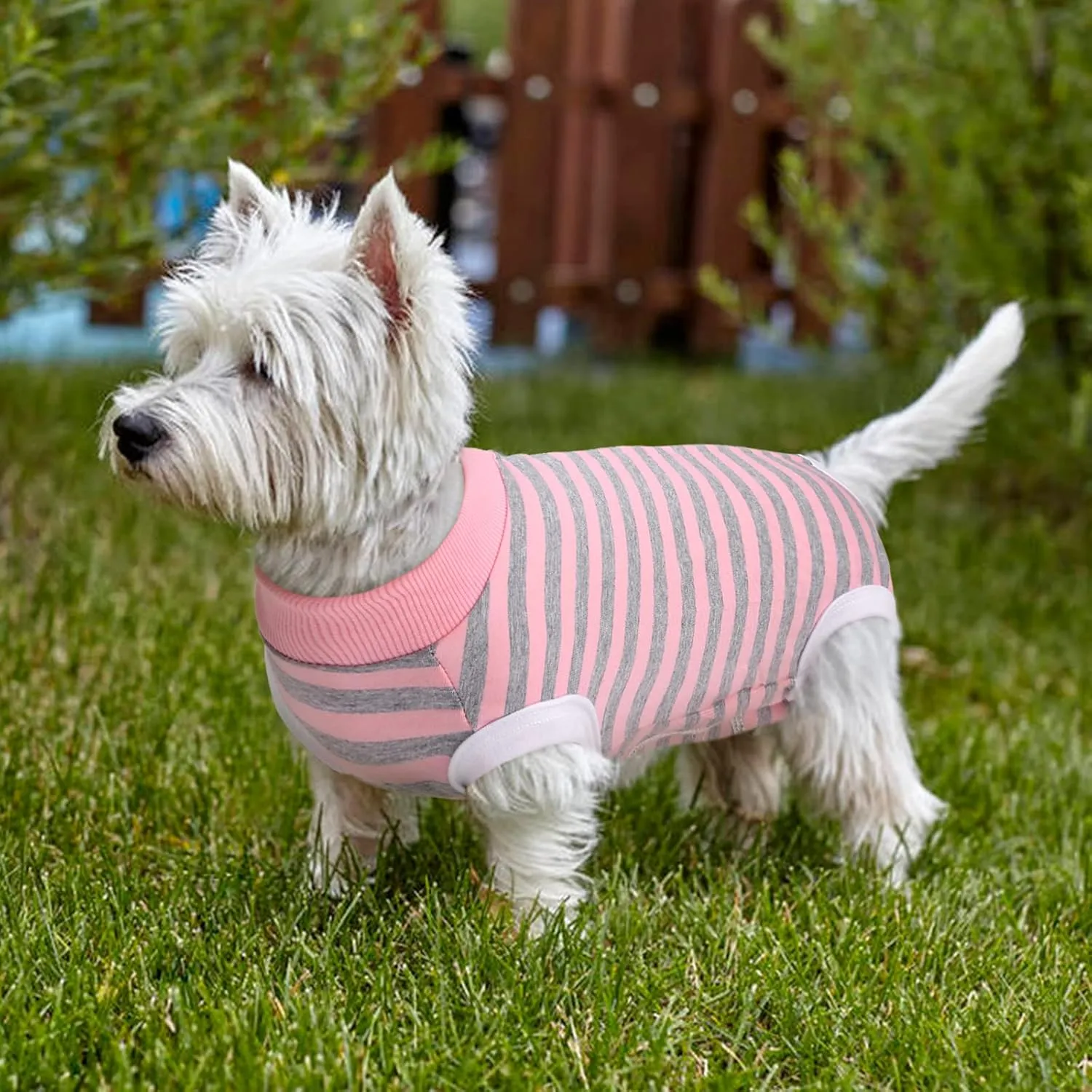 Dog Recovery Suit, Puppy Surgical Pajamas Bodysuit for Dogs Cats After Spay Neuter Surgery Abdominal Wound Bandages, Striped Onesie Pant for Shedding Skin Disease, Anti-Licking Cone Alternative S