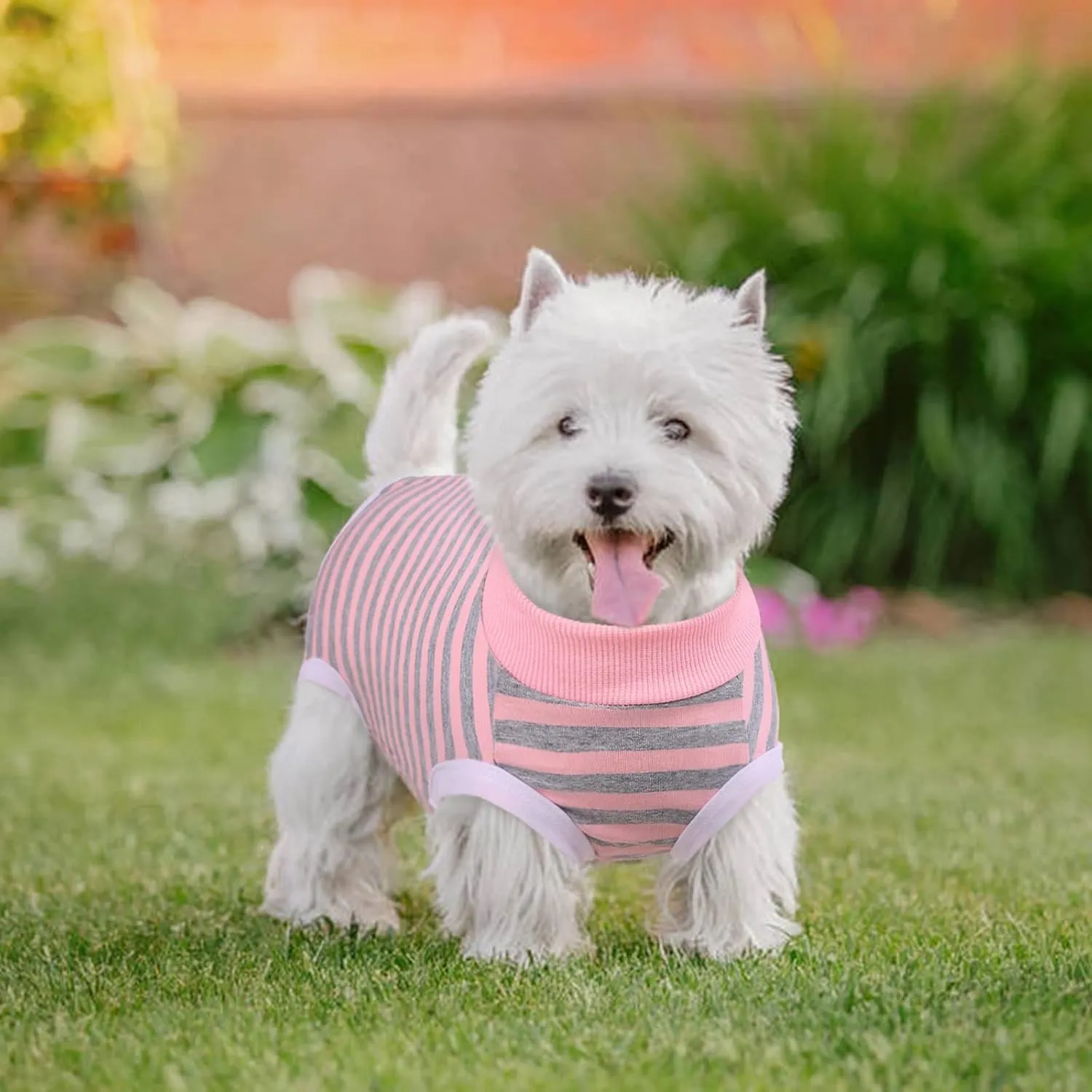Dog Recovery Suit, Puppy Surgical Pajamas Bodysuit for Dogs Cats After Spay Neuter Surgery Abdominal Wound Bandages, Striped Onesie Pant for Shedding Skin Disease, Anti-Licking Cone Alternative S