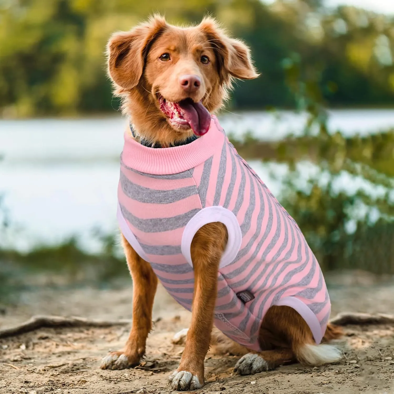 Dog Recovery Suit, Puppy Surgical Pajamas Bodysuit for Dogs Cats After Spay Neuter Surgery Abdominal Wound Bandages, Striped Onesie Pant for Shedding Skin Disease, Anti-Licking Cone Alternative S
