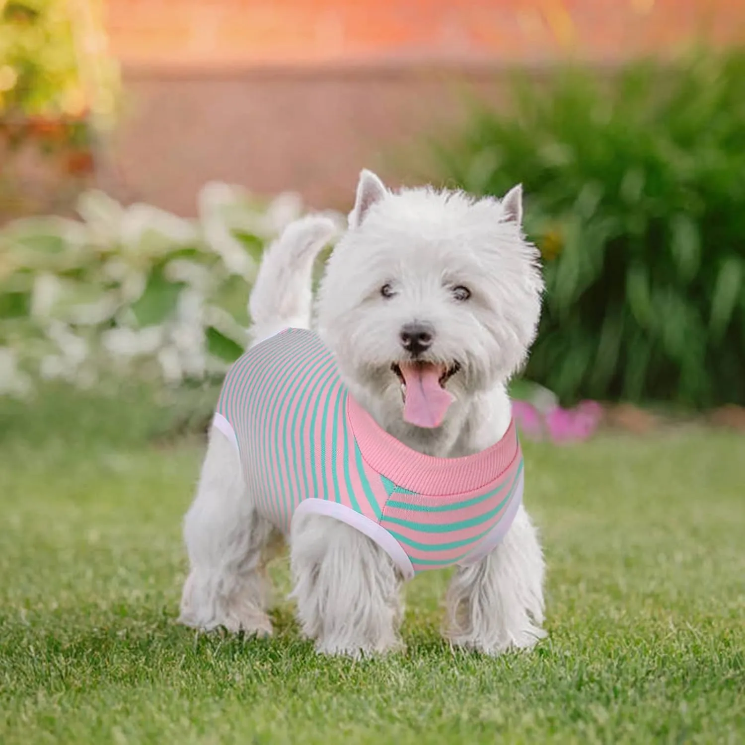Dog Recovery Suit, Puppy Surgical Pajamas Bodysuit for Dogs Cats After Spay Neuter Surgery Abdominal Wound Bandages, Striped Onesie Pant for Shedding Skin Disease, Anti-Licking Cone Alternative XL