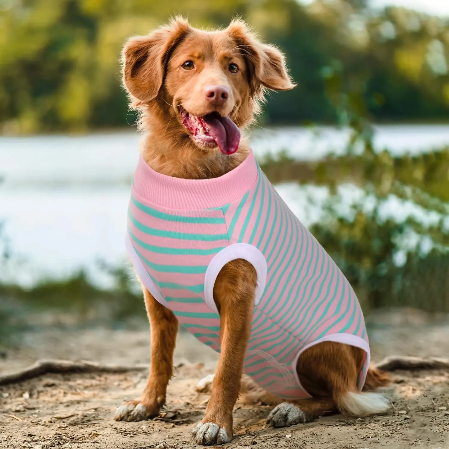 Dog Recovery Suit, Puppy Surgical Pajamas Bodysuit for Dogs Cats After Spay Neuter Surgery Abdominal Wound Bandages, Striped Onesie Pant for Shedding Skin Disease, Anti-Licking Cone Alternative XL