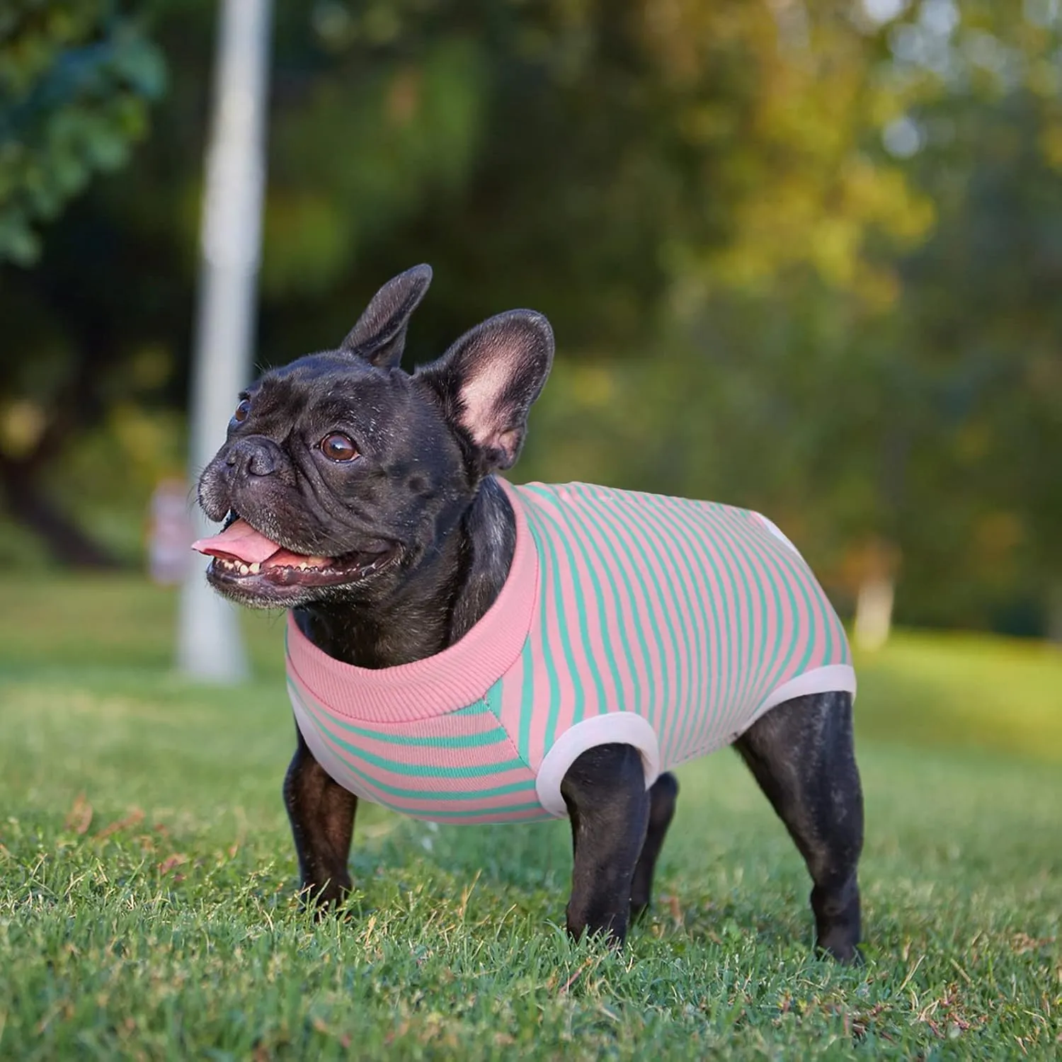 Dog Recovery Suit, Puppy Surgical Pajamas Bodysuit for Dogs Cats After Spay Neuter Surgery Abdominal Wound Bandages, Striped Onesie Pant for Shedding Skin Disease, Anti-Licking Cone Alternative XL