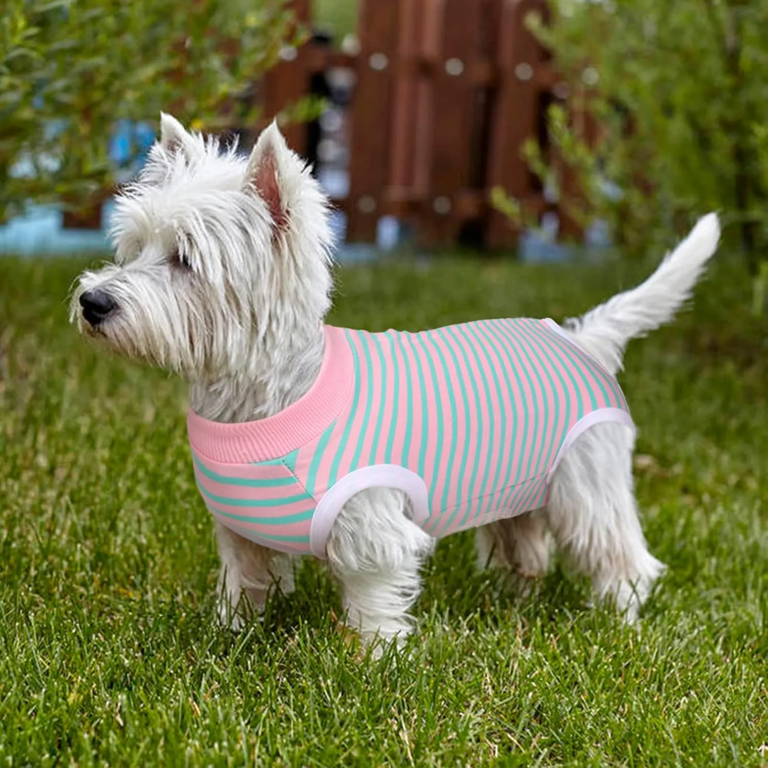 Dog Recovery Suit, Puppy Surgical Pajamas Bodysuit for Dogs Cats After Spay Neuter Surgery Abdominal Wound Bandages, Striped Onesie Pant for Shedding Skin Disease, Anti-Licking Cone Alternative XL