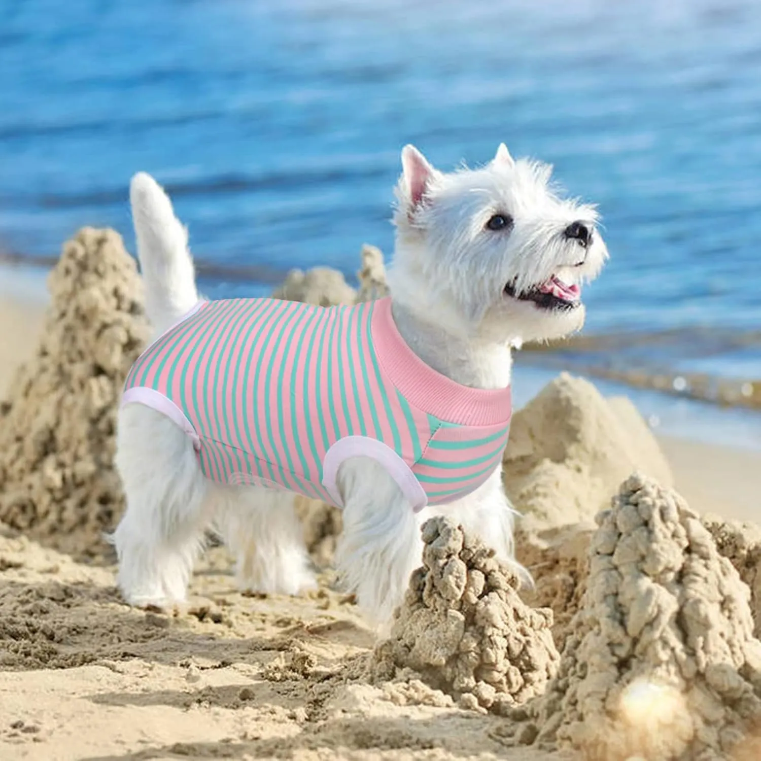 Dog Recovery Suit, Puppy Surgical Pajamas Bodysuit for Dogs Cats After Spay Neuter Surgery Abdominal Wound Bandages, Striped Onesie Pant for Shedding Skin Disease, Anti-Licking Cone Alternative XL