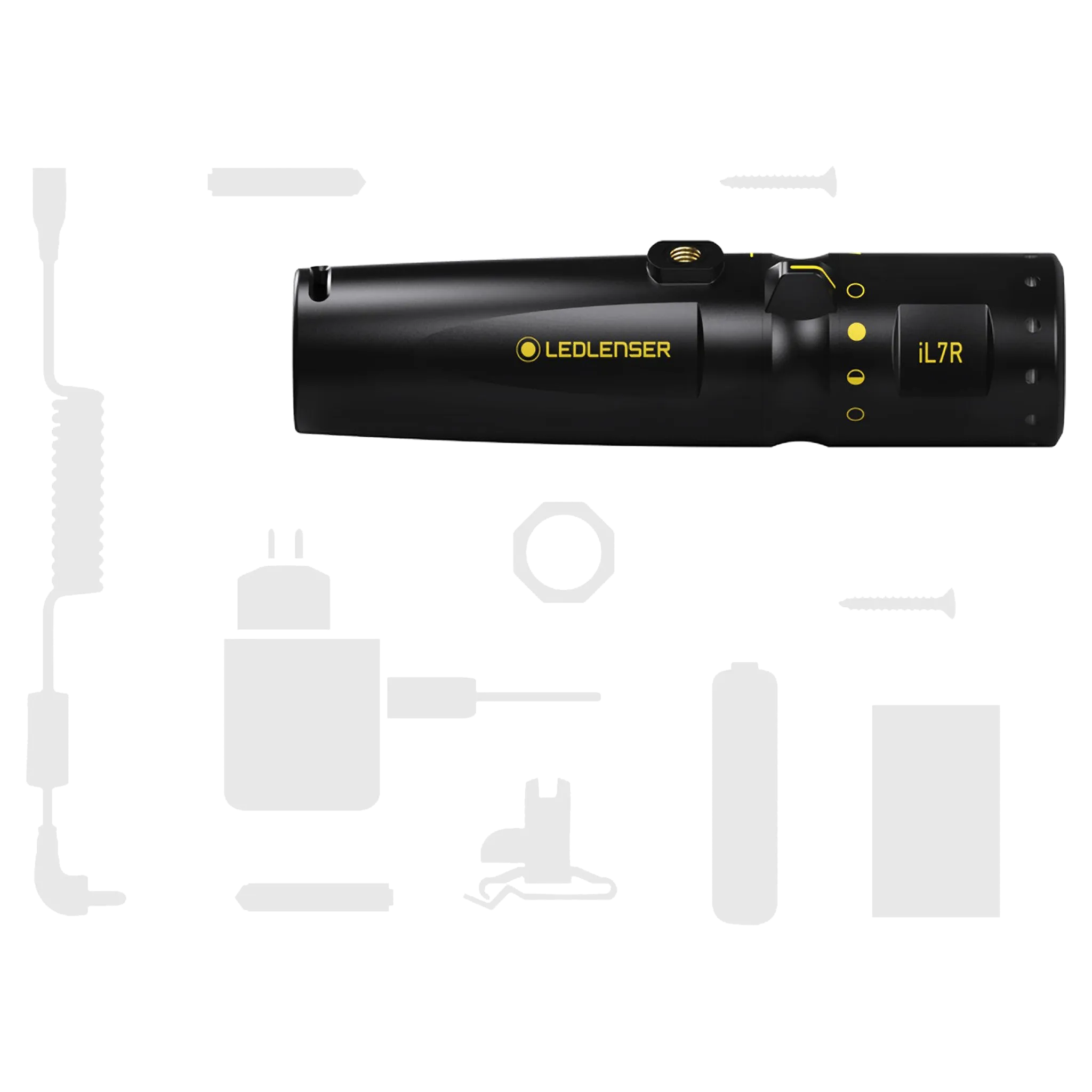 iL7R Torch